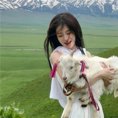 妙趣钓鱼三人行 封面